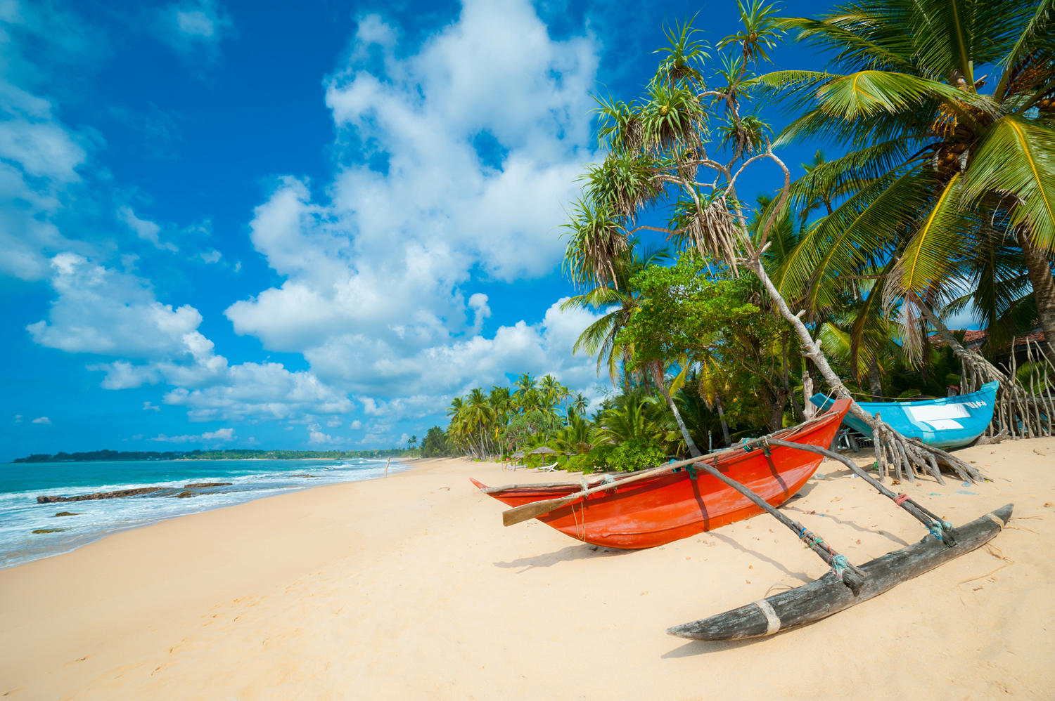 Sri Lanka (7)