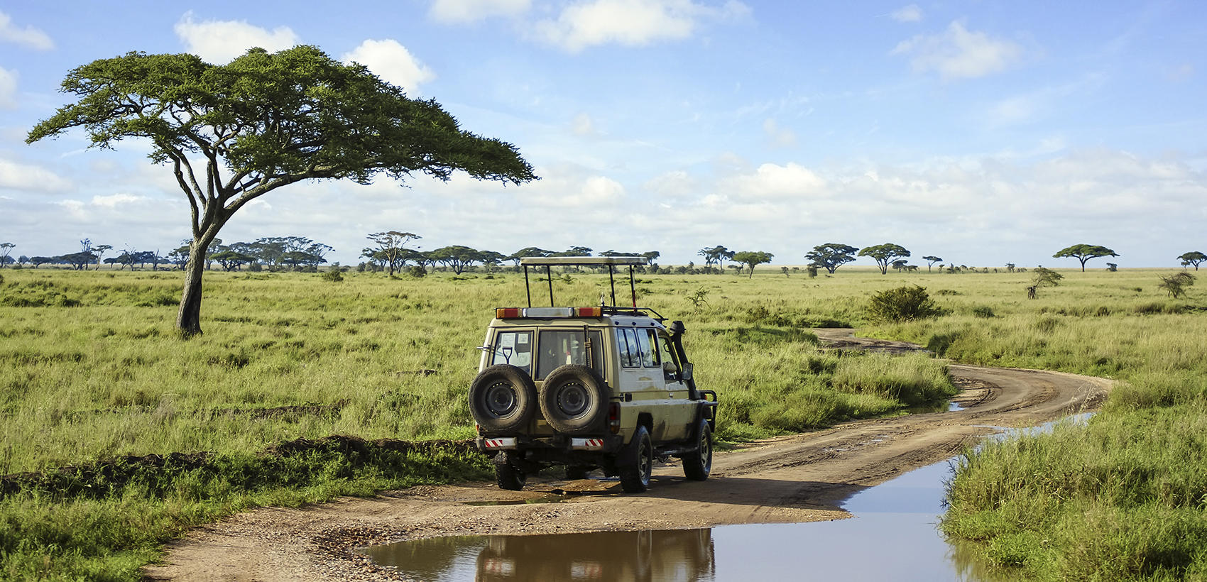 Safari_Quenia1