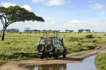 quenia-safari-de-kilimanjaro-a-praia-de-mombaca_0.jpg