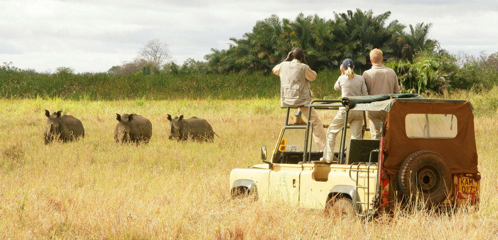 Safari_Quenia
