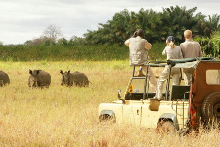 quenia-safari-quenia-classico_0.jpg