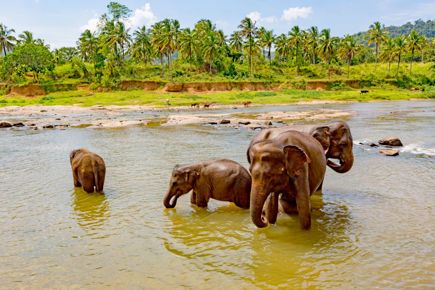 sri-lanka-circuito-a-descoberta-do-sri-lanka-praias_0.jpg