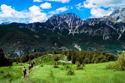 albania-essence_0.jpg