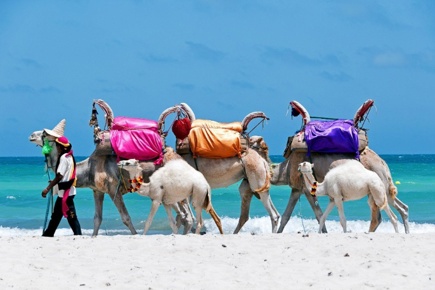 djerba_2.jpg
