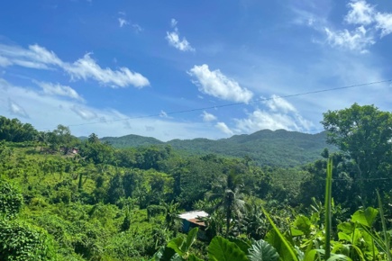 jamaica-quality_1.jpg