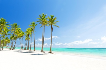 punta-cana-quality_2.jpg