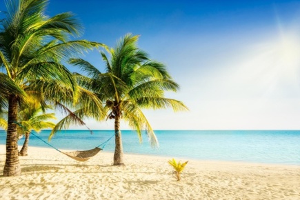 riviera-maya-absolut-14930_1.jpg