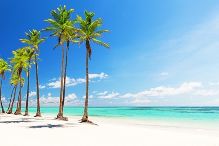 bayahibe-y-la-romana-absolut_2.jpg