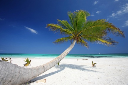 cancun-quality-15029_1.jpg