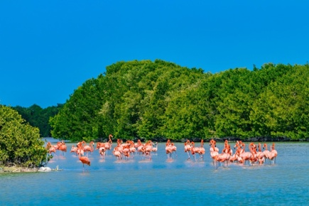 playa-mujeres-y-costa-mujeres-honeymoon_1.jpg