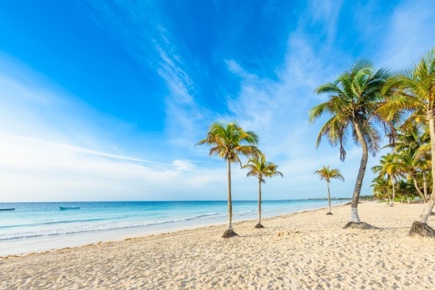 riviera-maya-absolut_2.jpg