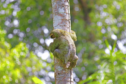 paisagens-tropicais-e-manuel-antonio_1.jpg