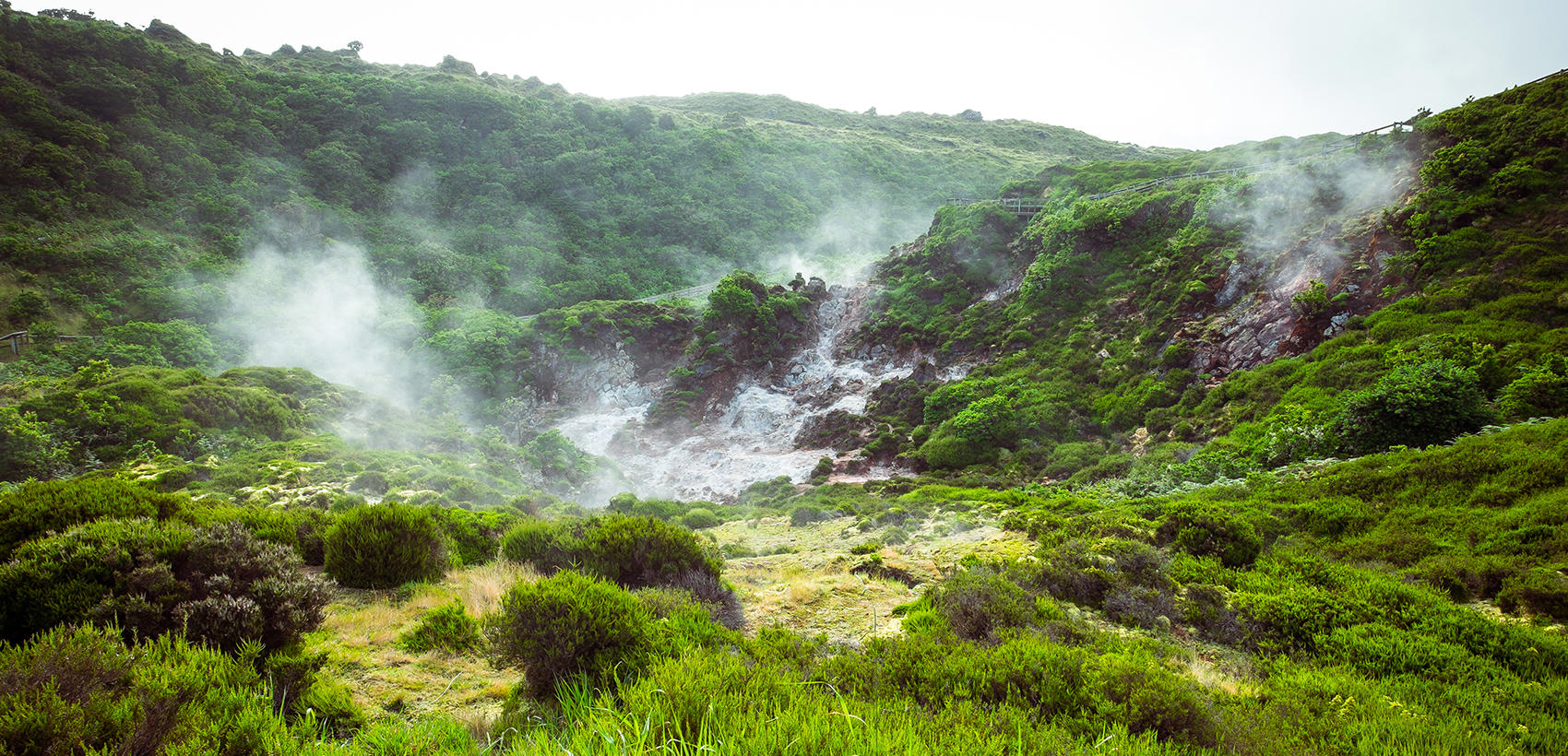 Terceira (6)