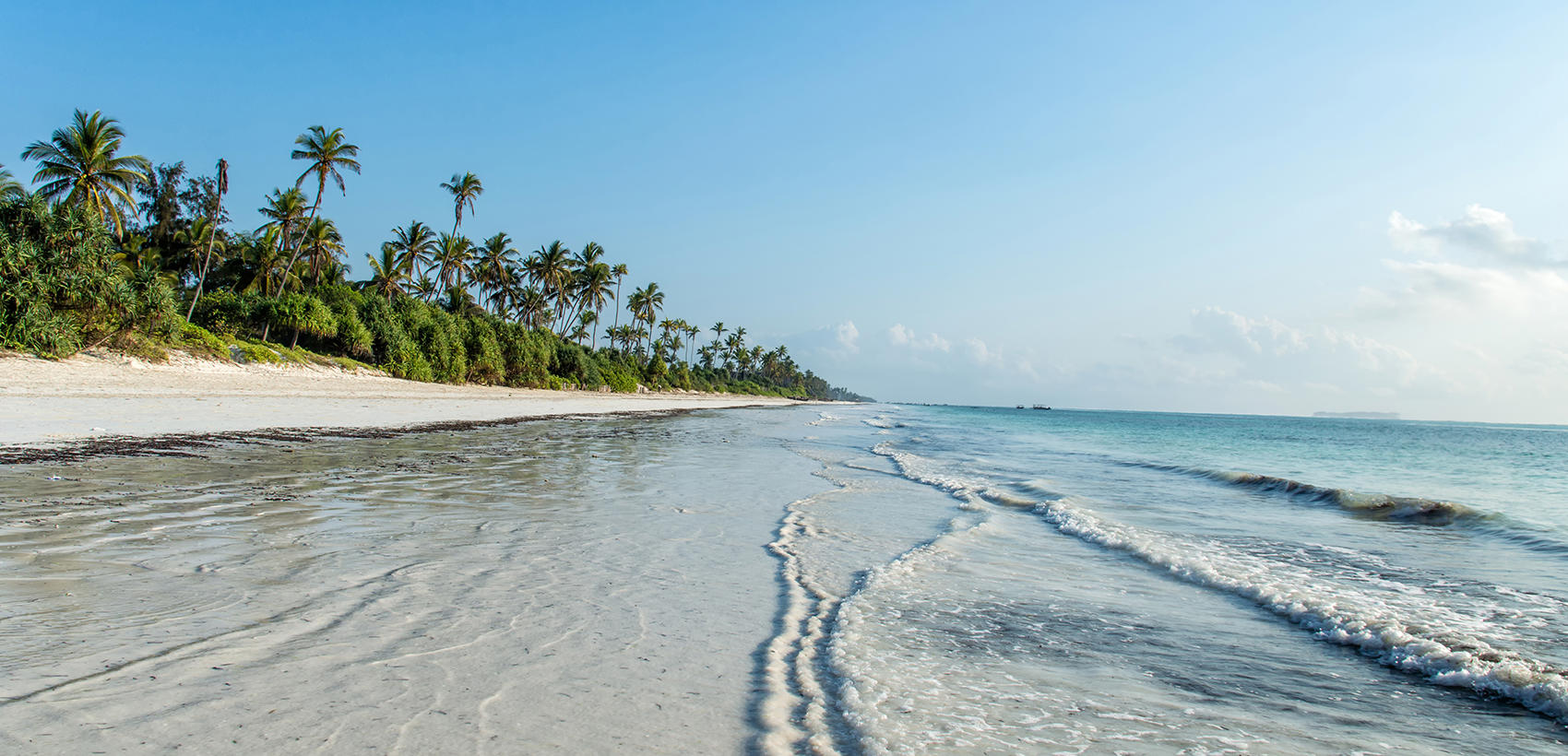 zanzibar4