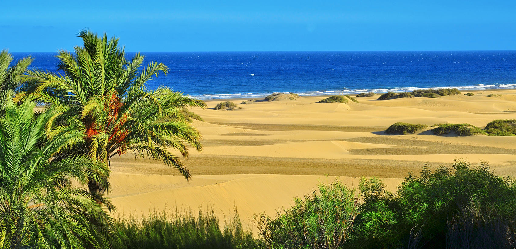 Gran Canaria3