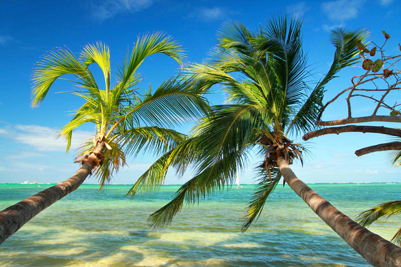 shutterstock_83627896