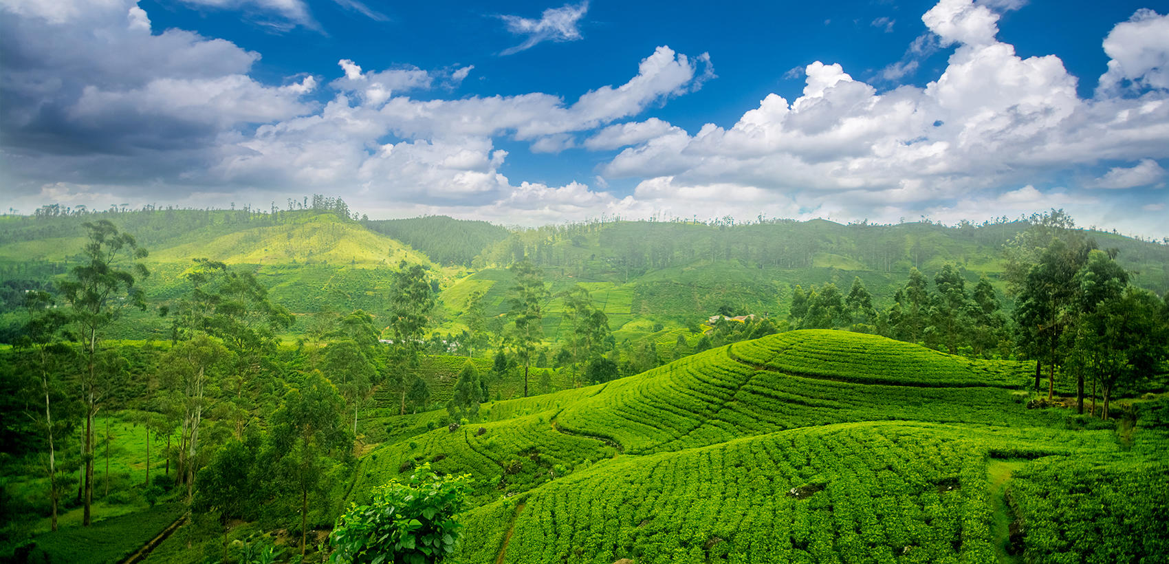 Sri_Lanka3