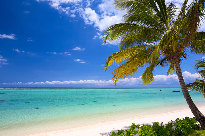 shutterstock_163418549