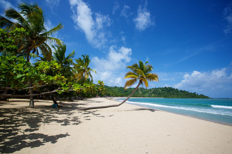 shutterstock_216404962