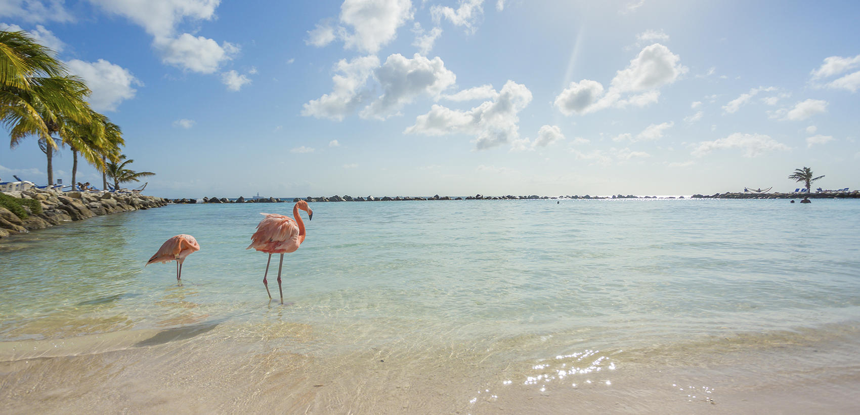 Aruba6