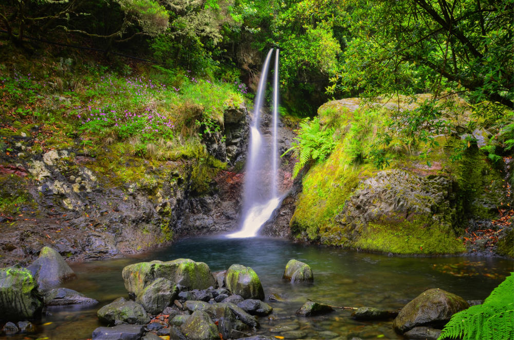 Walking Tour _Levad do Ribeiro Frio